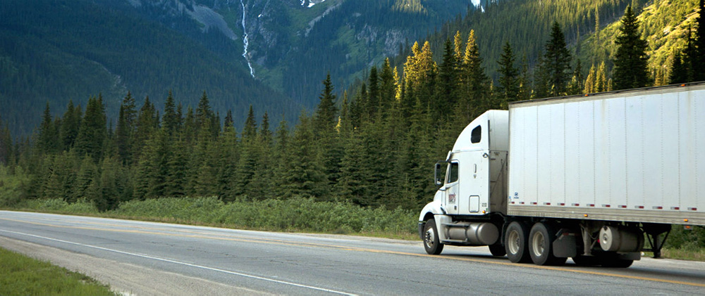 Dedicated Trucking Services In-Depth